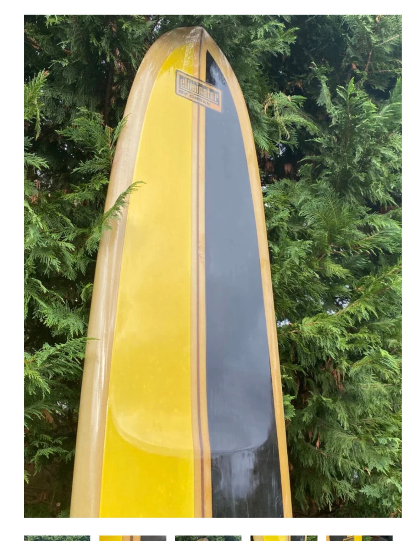 HARBOR Pig D fin 9'6