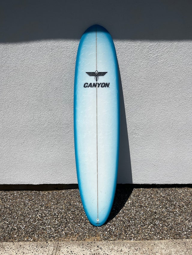 Canyon fish surfboard sale